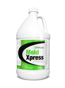 Mold Xpress